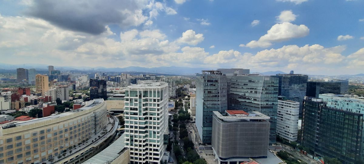 17 de 29