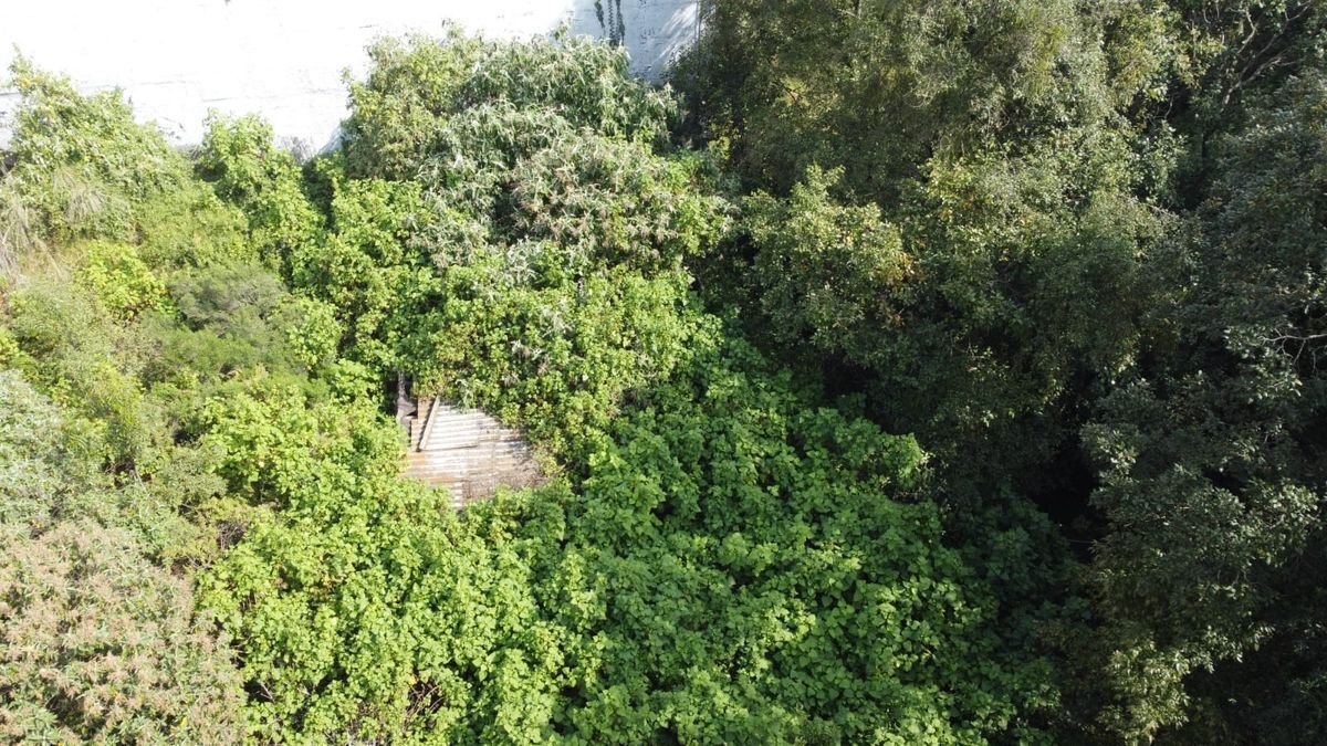 Terreno en venta en Santa Fe camino a Altavista