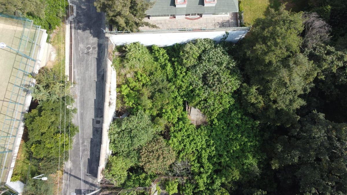Terreno en venta en Santa Fe camino a Altavista - foto 2