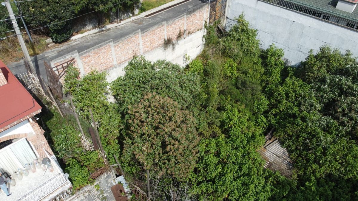 Terreno en venta en Santa Fe camino a Altavista - foto 3