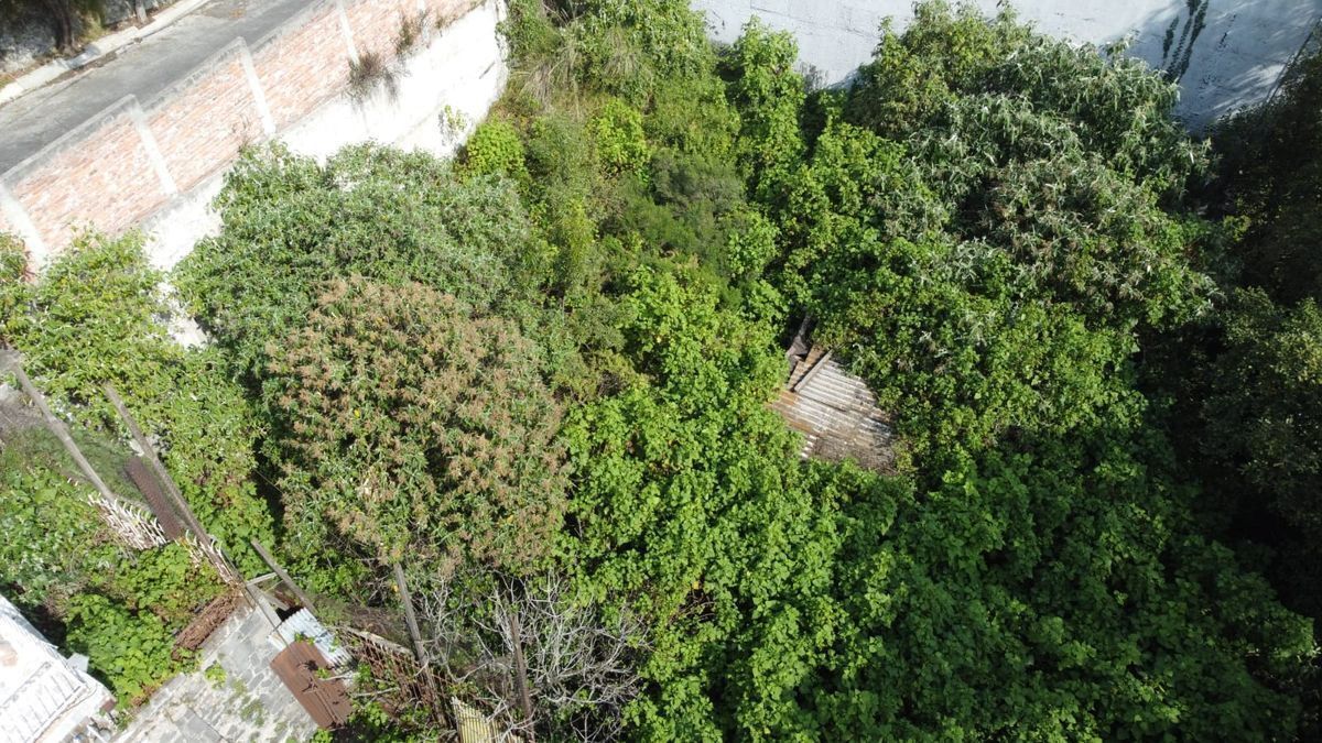 Terreno en venta en Santa Fe camino a Altavista - foto 4