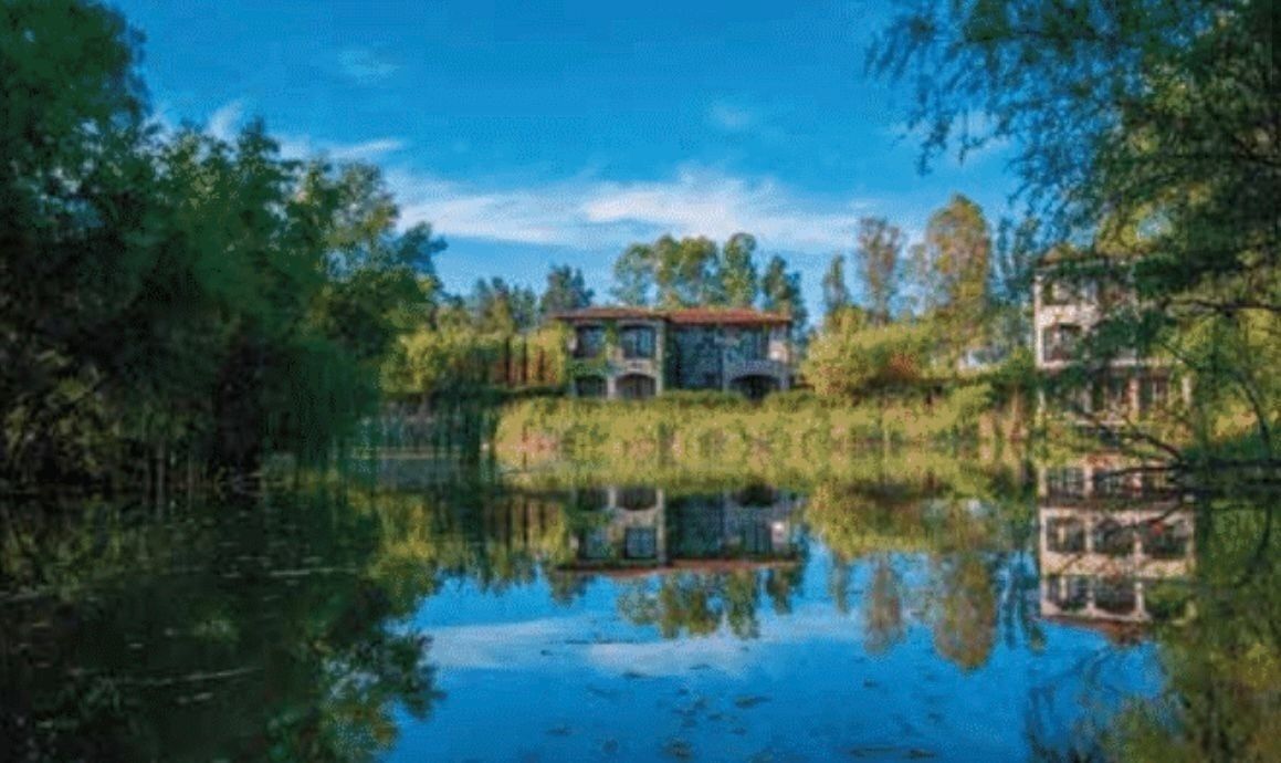 VENTA DE TERRENO EN VIÑEDO SAN LUCAS, SAN MIGUEL DE ALENDE - foto 3