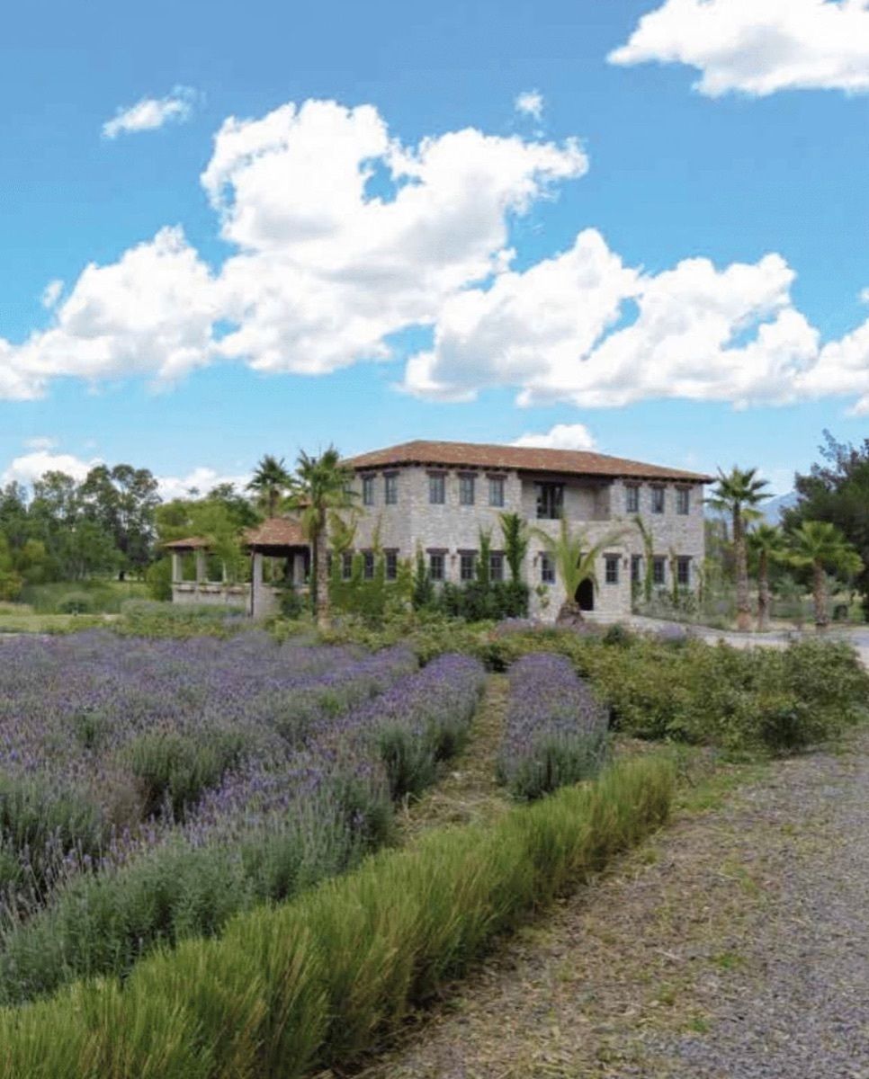VENTA DE TERRENO EN VIÑEDO SAN LUCAS, SAN MIGUEL DE ALENDE - foto 2