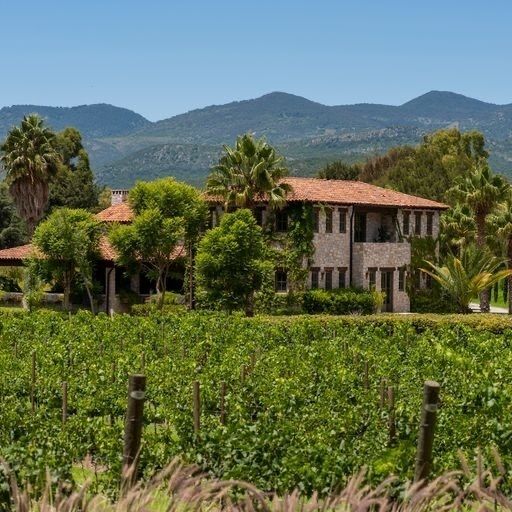 VENTA DE TERRENO EN VIÑEDO SAN LUCAS, SAN MIGUEL DE ALENDE - foto 1