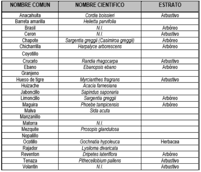 4 of 7: Árboles de la región