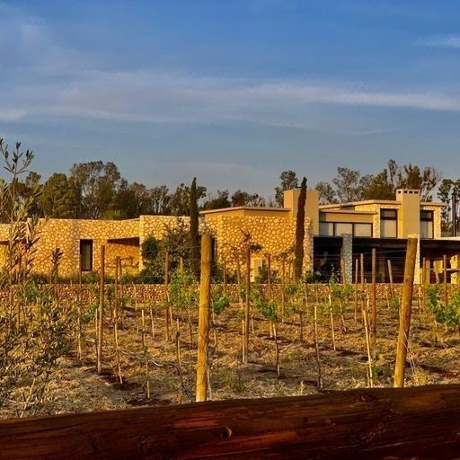 VENTA DE TERRENO EN VIÑEDO SAN FRANCISCO, SAN MIGUEL DE ALLENDE - foto 3