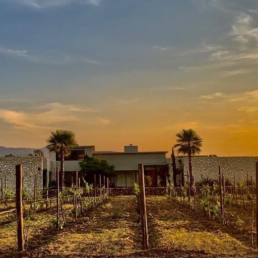 VENTA DE TERRENO EN VIÑEDO SAN FRANCISCO, SAN MIGUEL DE ALLENDE - foto 5