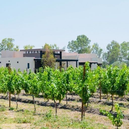 VENTA DE TERRENO EN VIÑEDO SAN FRANCISCO, SAN MIGUEL DE ALLENDE - foto 1