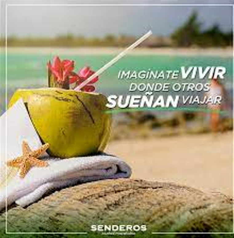 2 de 24