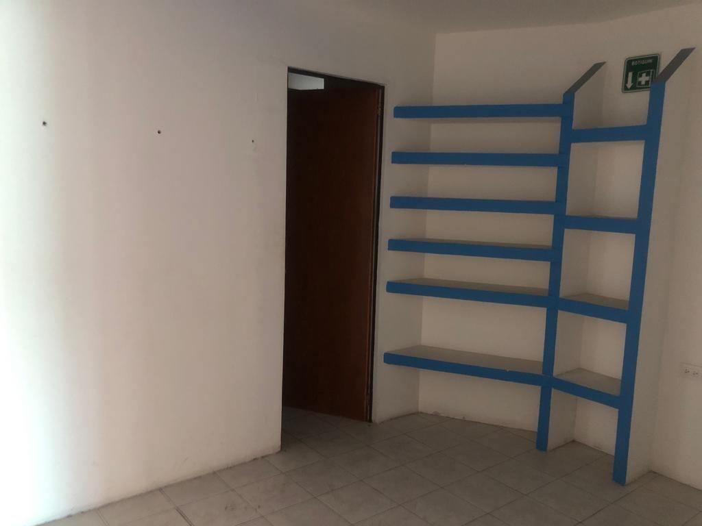 3 de 6