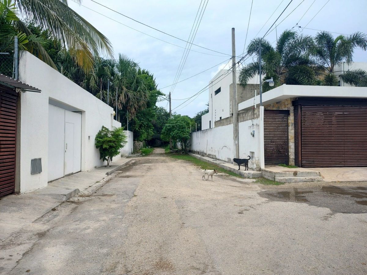 15 de 16: ACCESO AL TERRENO