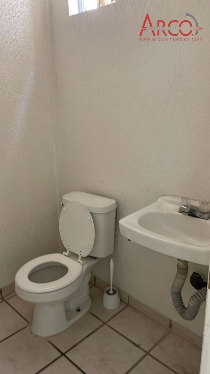 6 de 6