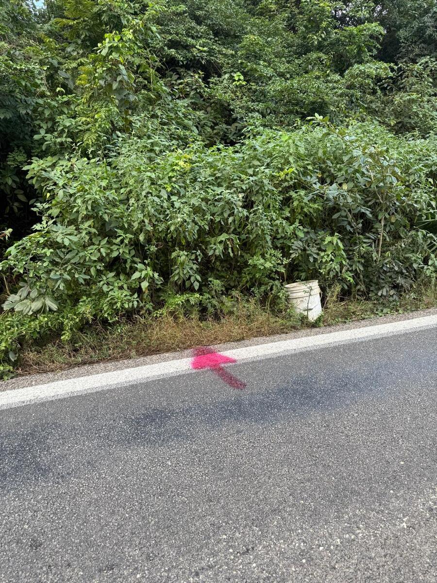 3 de 16: Señalización del terreno