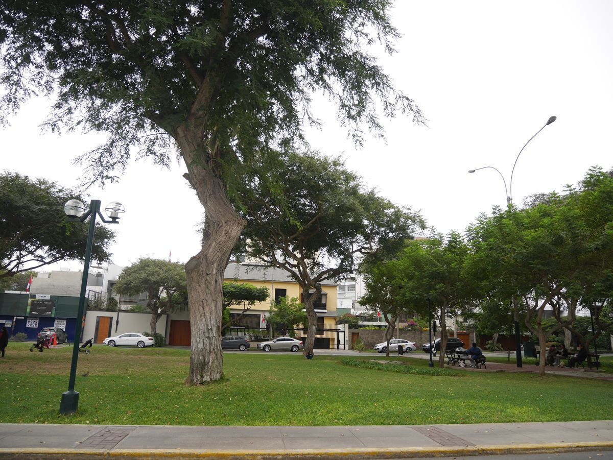 10 de 11: Foto del exclusivo Parque en Zona Residencial Miraflores