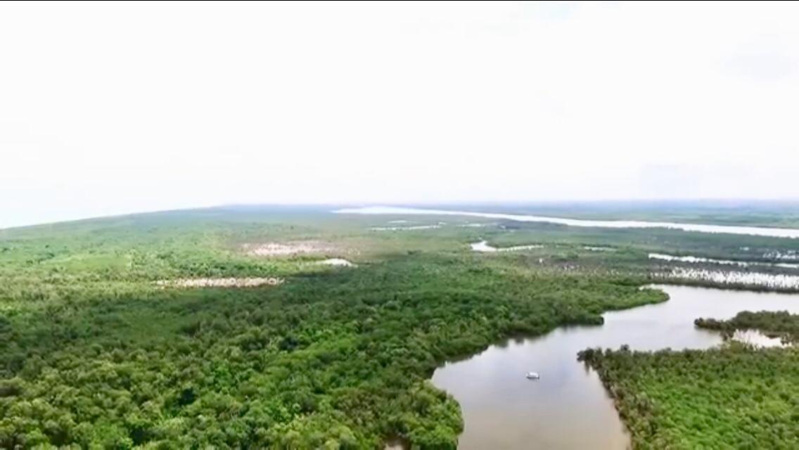 10 de 26: Laguna