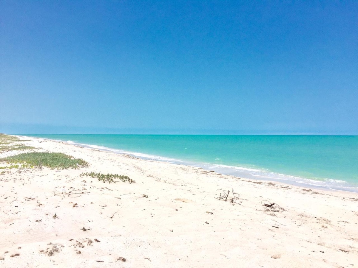 12 de 26: Playa