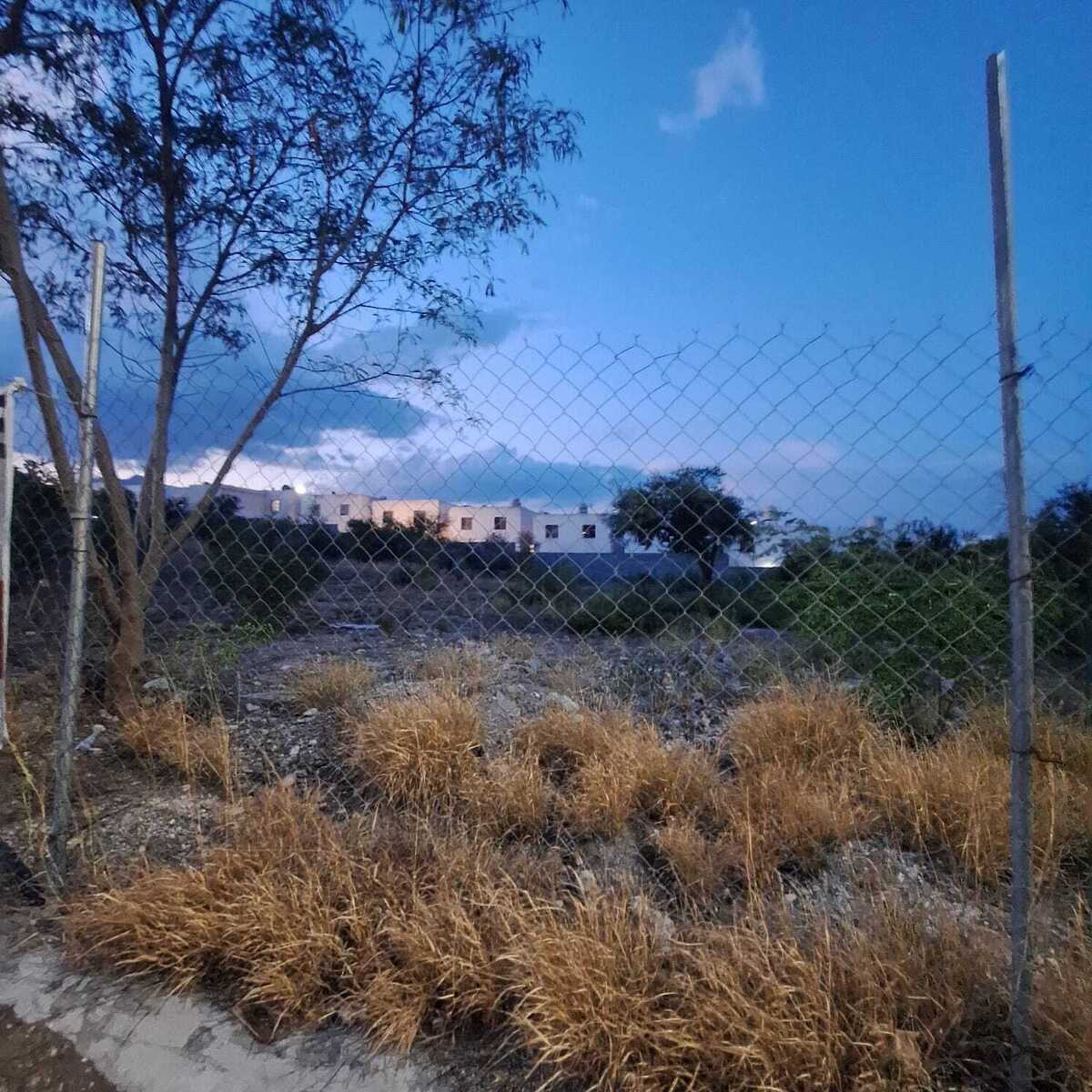 4 de 4