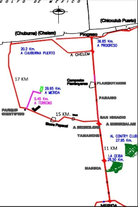 3 de 9