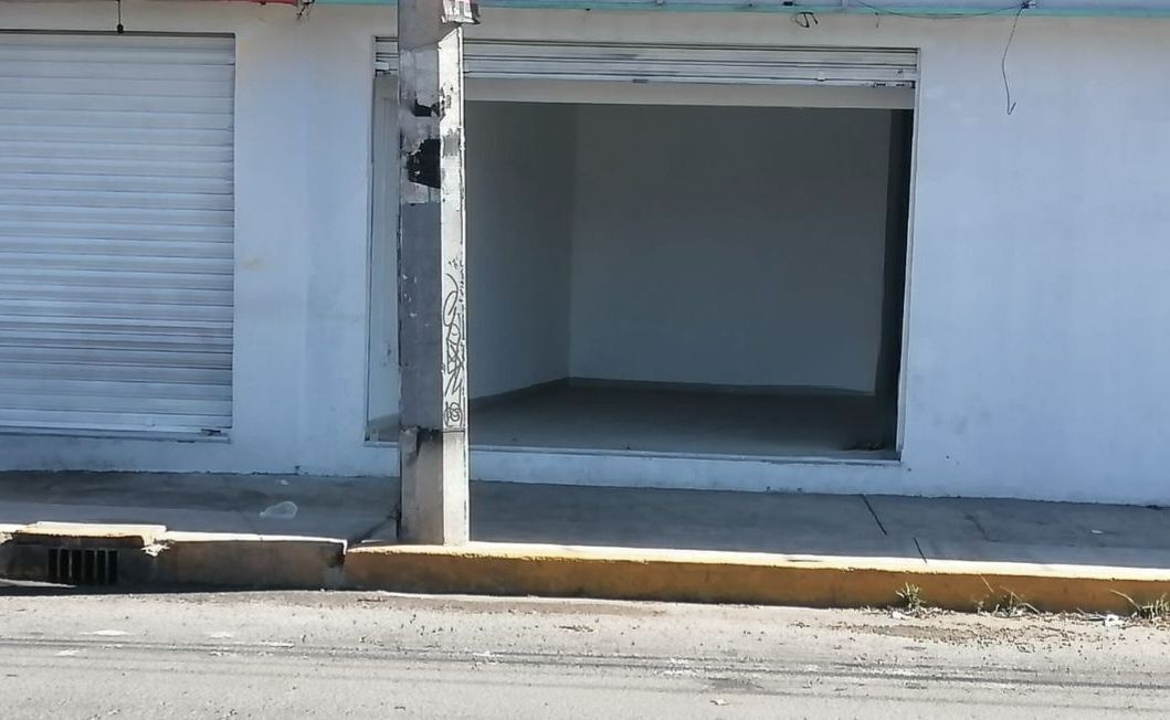 1 de 3
