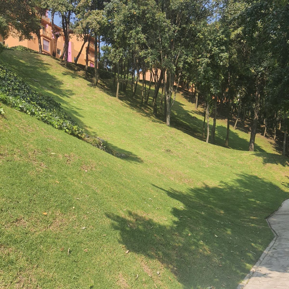 17 de 23