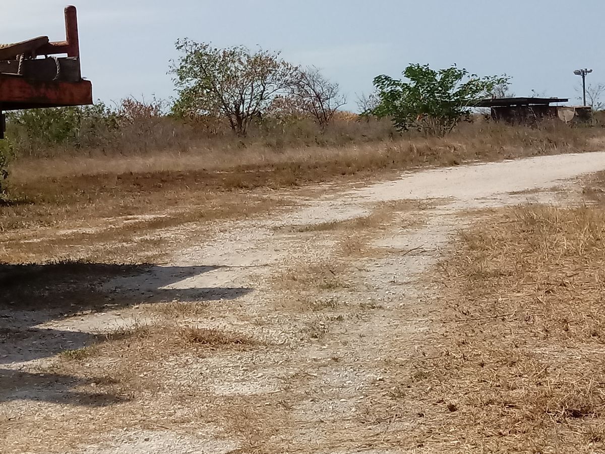 7 de 8: Terreno en Progreso Yucatán Compactado 2