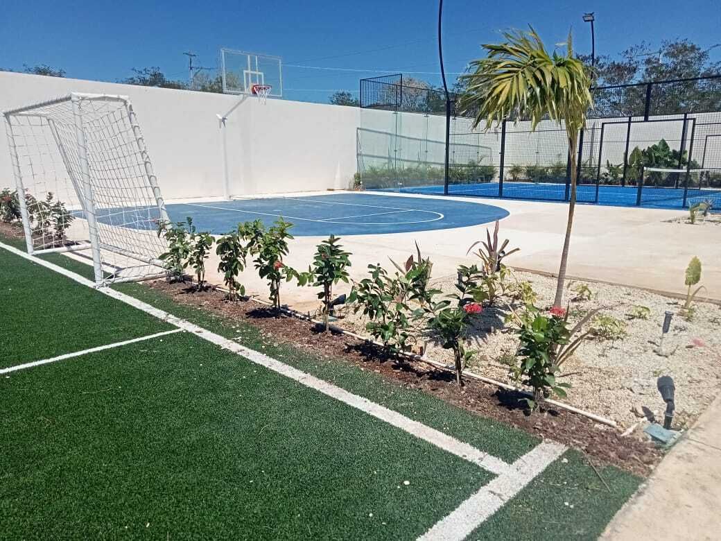 7 de 24