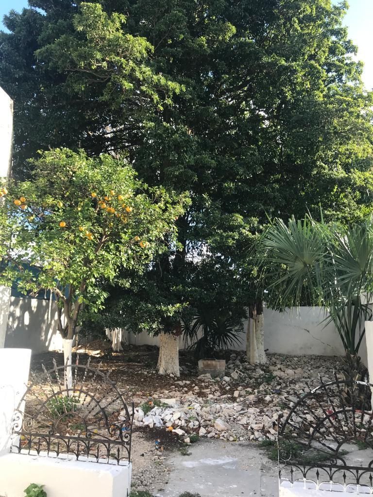 Casa en Mérida Centro, Mérida, foto 7 de 7