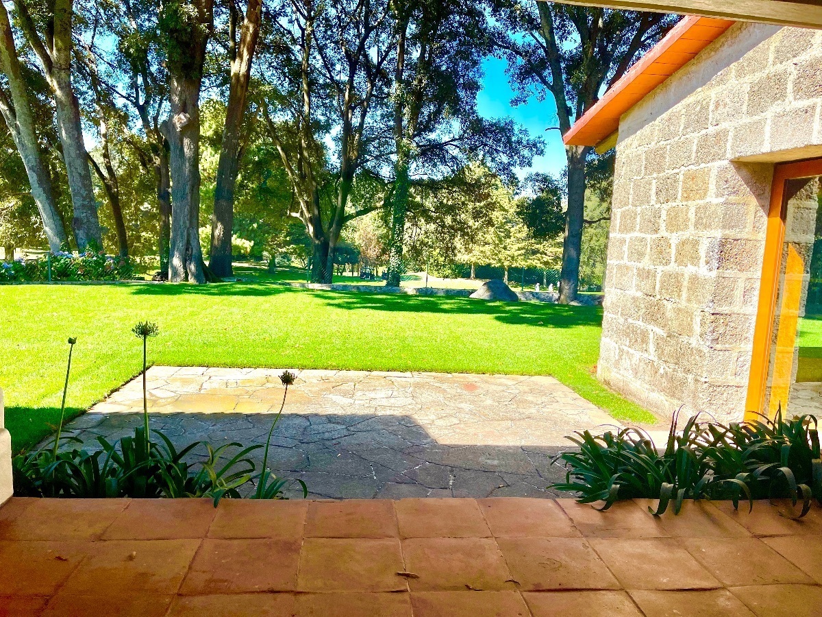 9 de 17