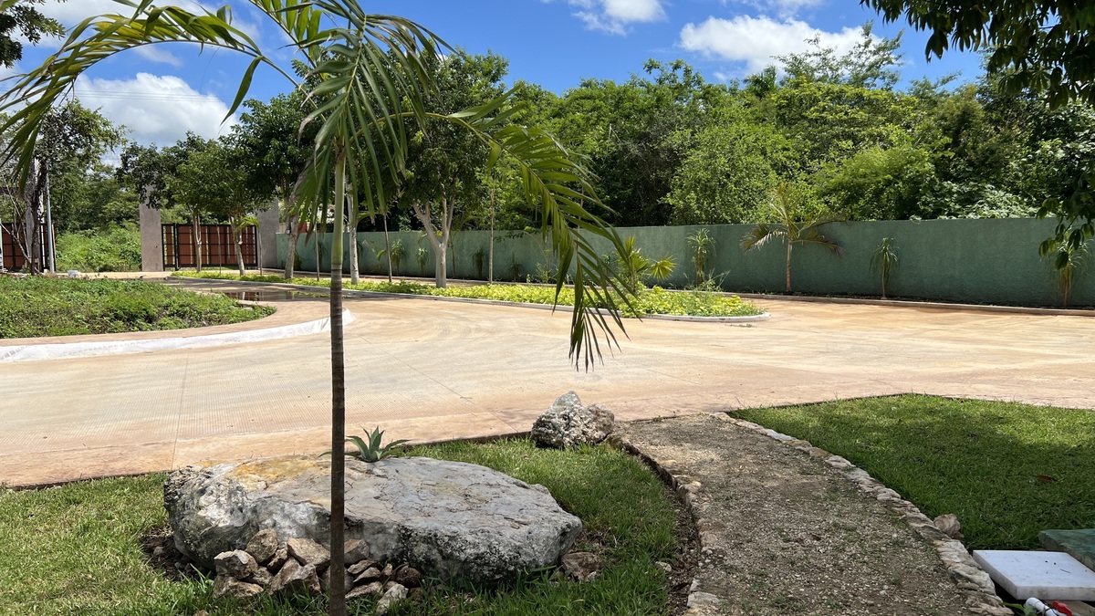 5 de 11