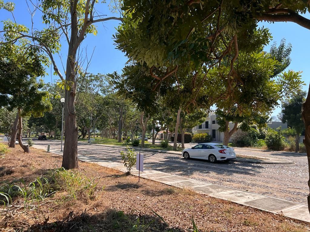 12 de 28: Desde el terreno al área común