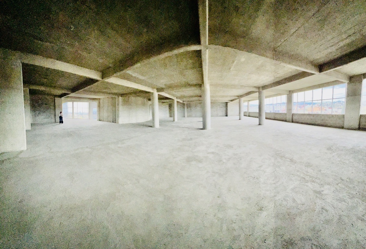 24 de 49