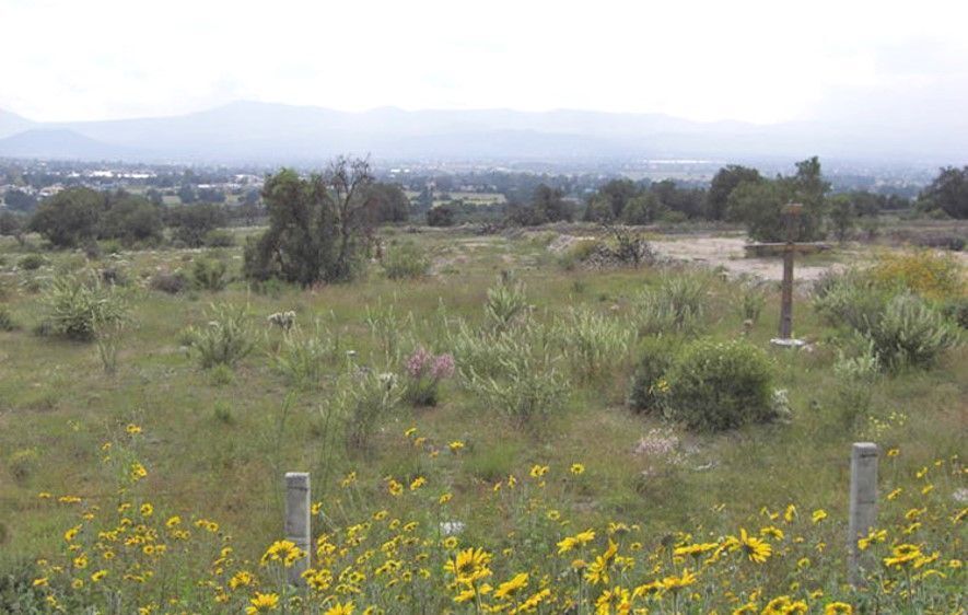 Teotihuacán - 41 Hectareas en Venta - foto 3