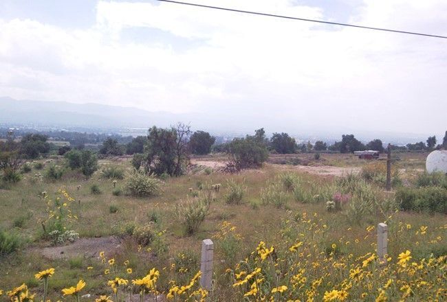 Teotihuacán - 41 Hectareas en Venta - foto 5