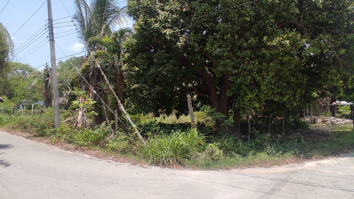 Venta Comercial Bacalar Uno - Bacalar