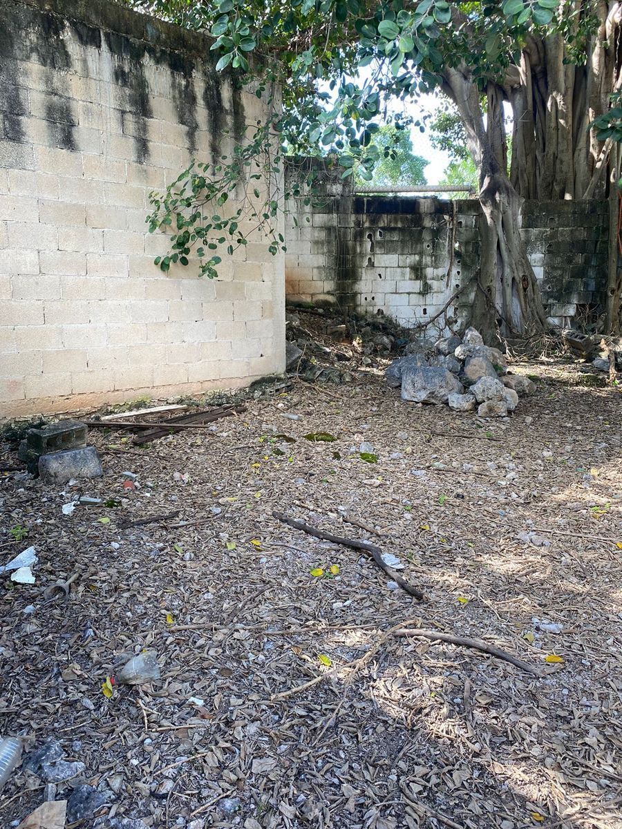 7 de 26