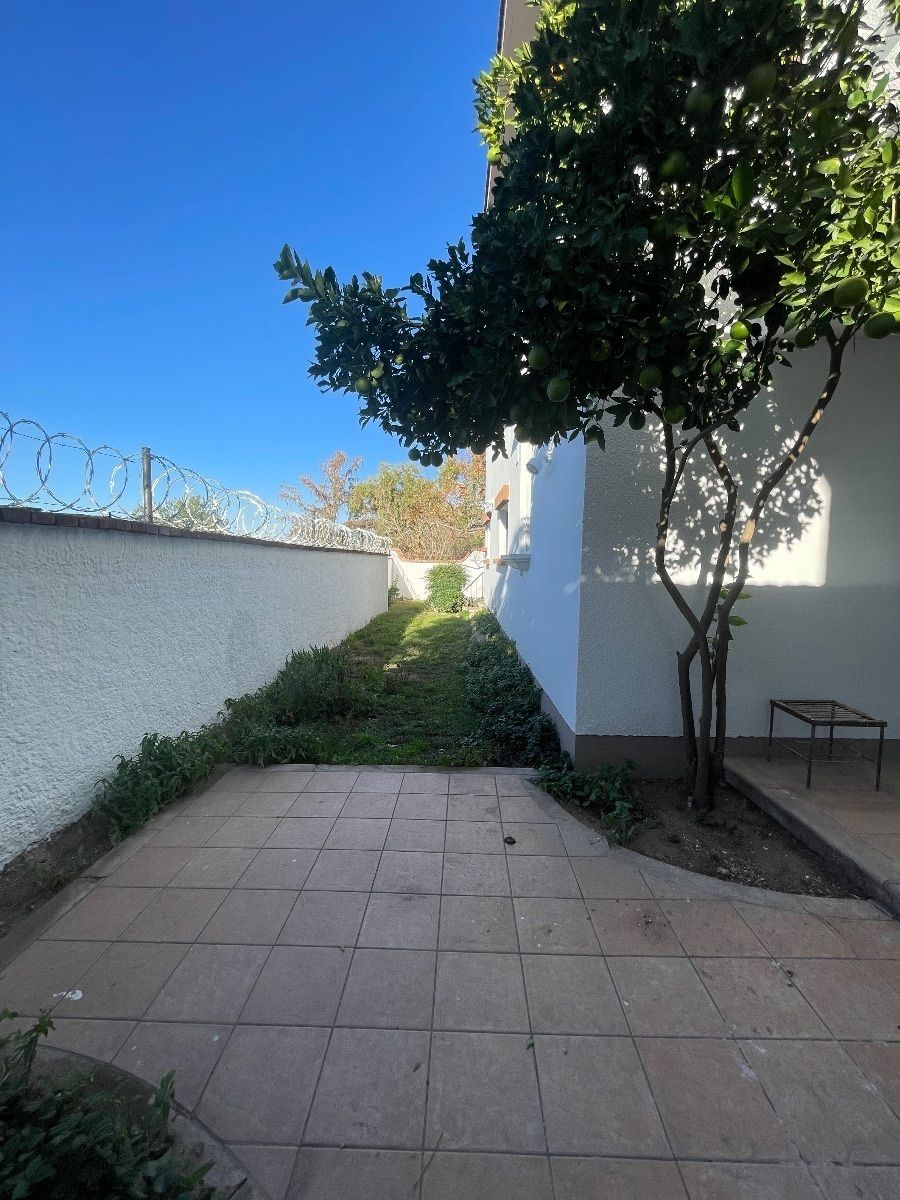 24 de 27: terraza y jardín