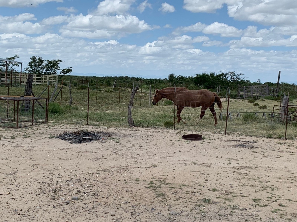 Rancho en venta, Coahuila 4,600 hectáreas
