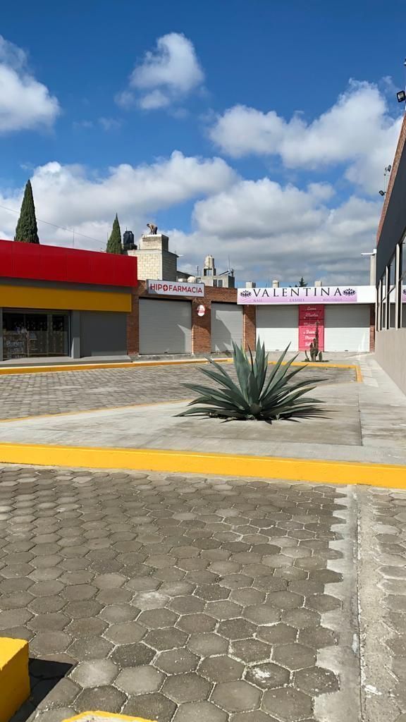 4 de 14