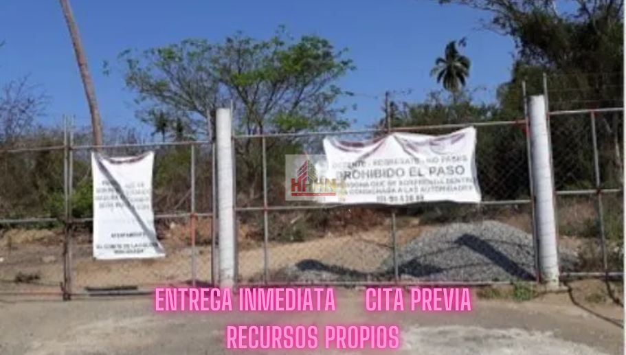 2 de 12