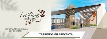 4 de 17