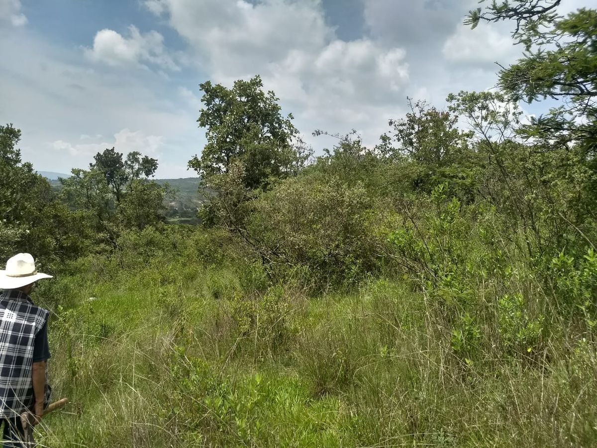 Terreno en Mazamitla, Mazamitla, foto 15 de 15