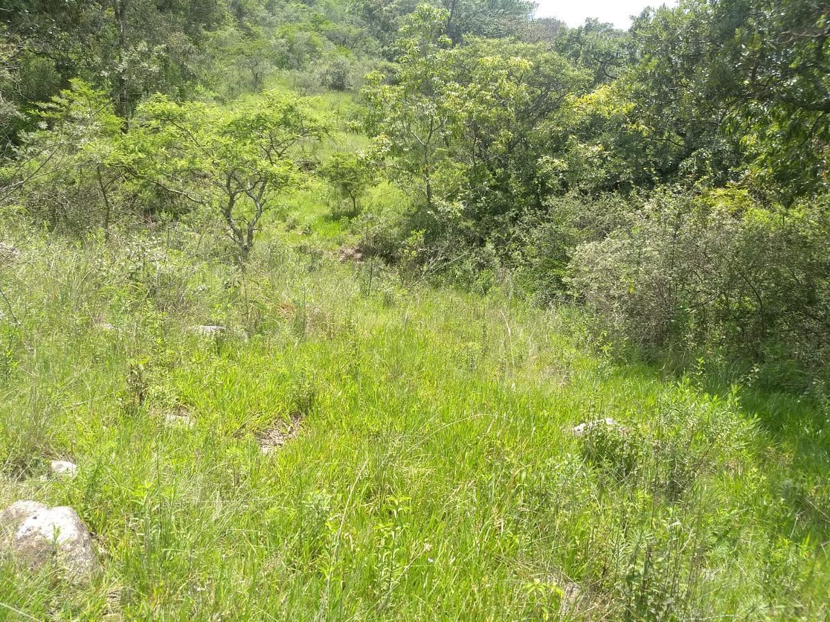 Terreno en Mazamitla, Mazamitla, foto 14 de 15