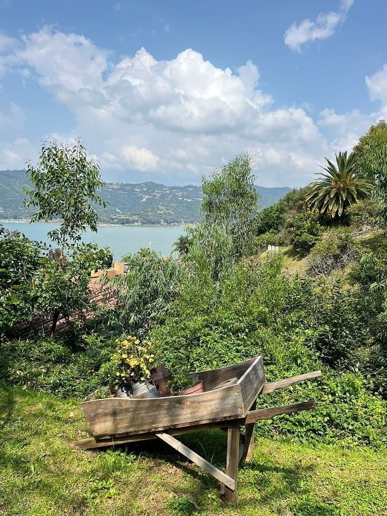 Jardín, foto 29 de 30
