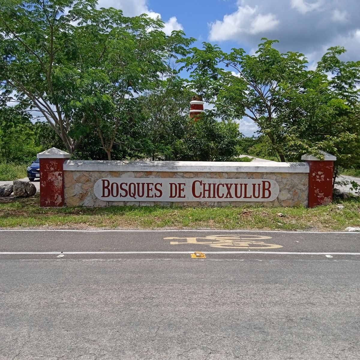 6 de 29