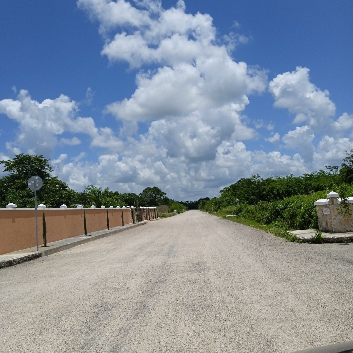 11 de 29