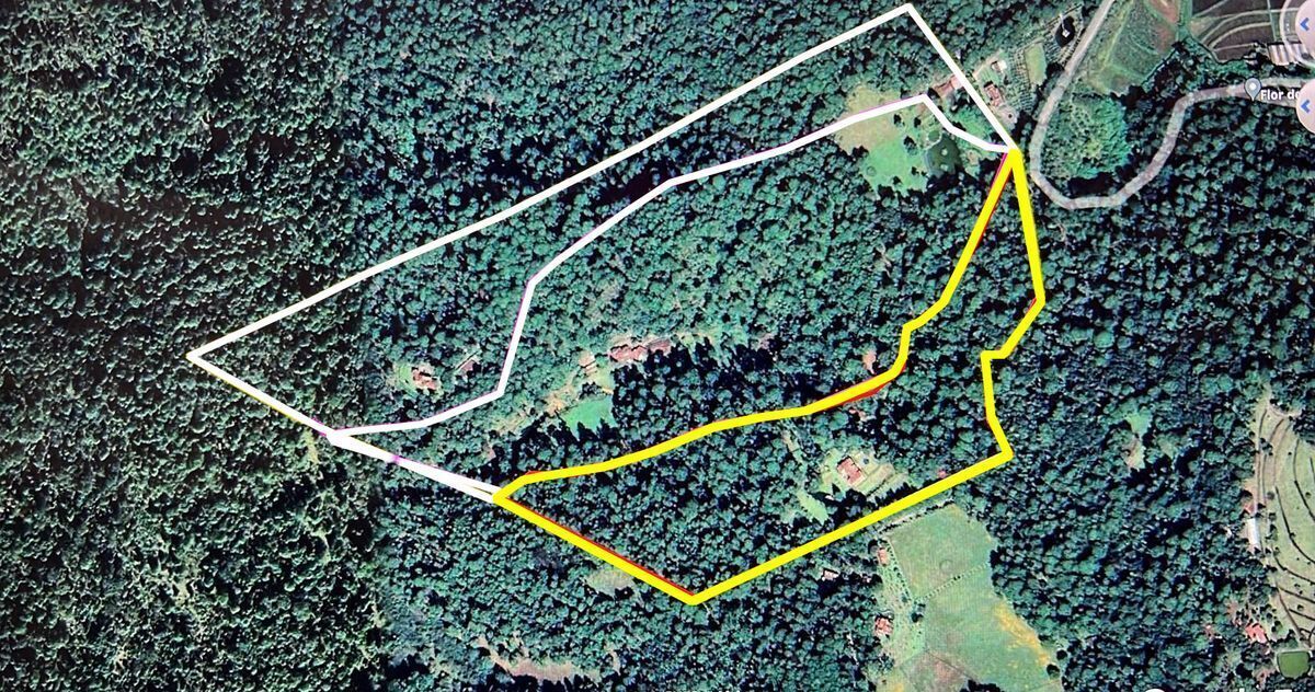El polígono amarillo es el polígono del rancho de las 8Ha