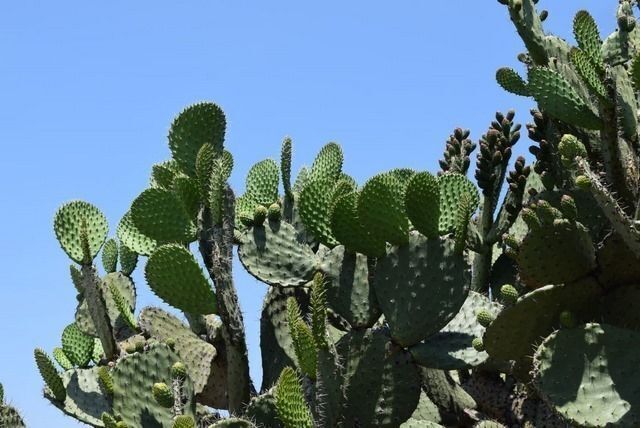 6 de 10