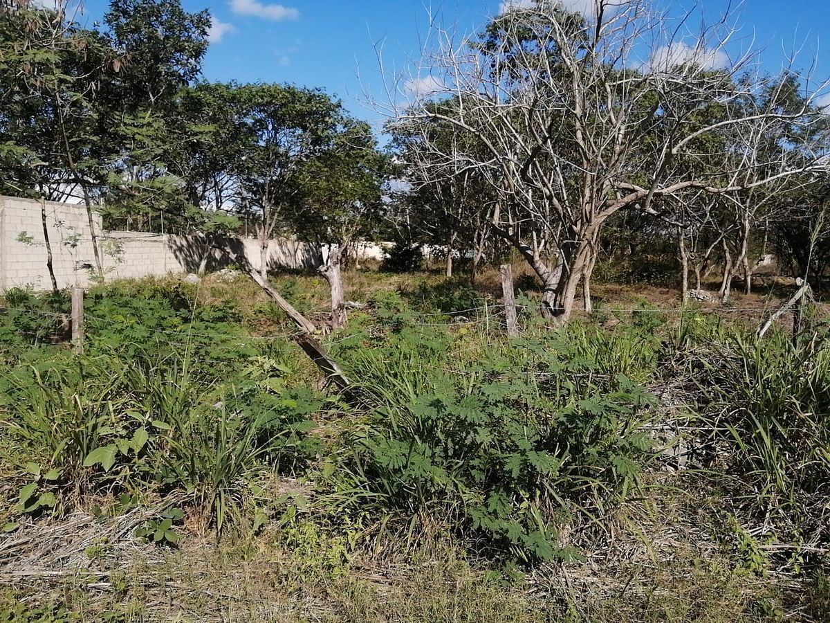 1 de 7