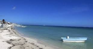 Venta de terreno en la playa,, en Chicxulub, Progreso. - foto 4