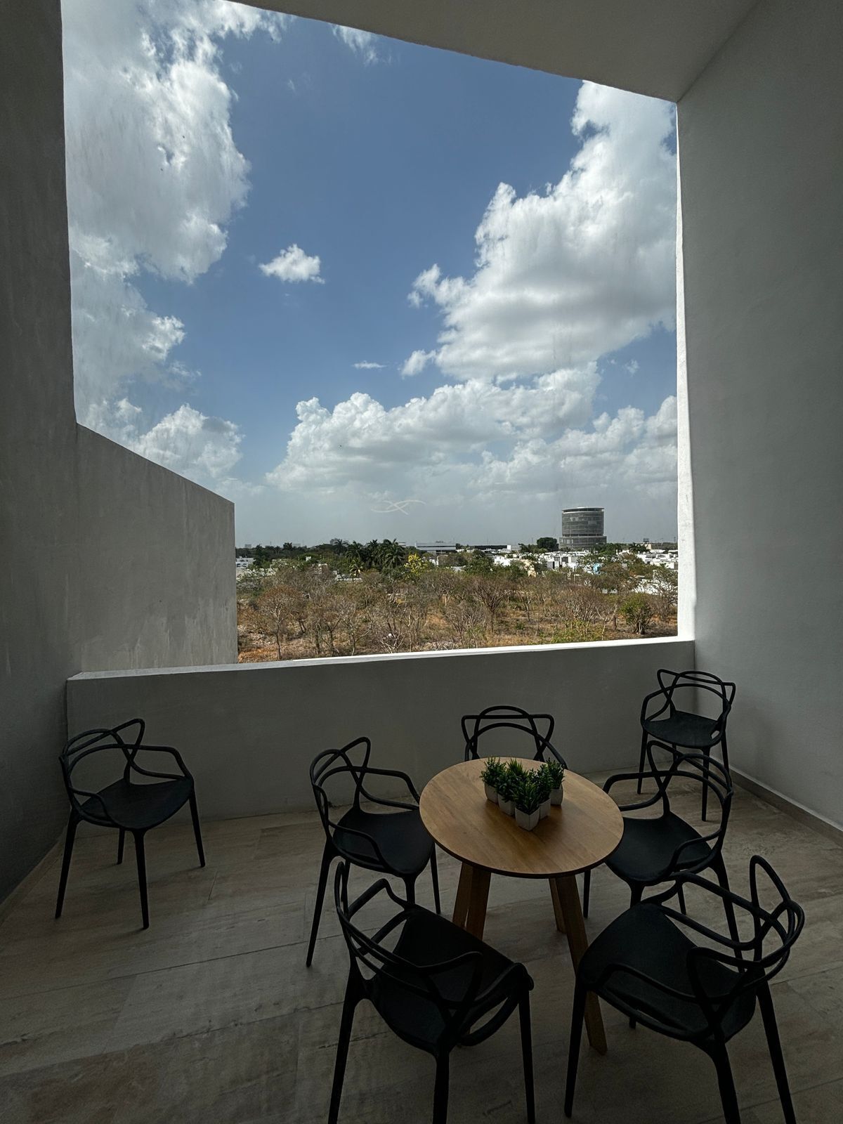12 de 15: Cigar Terrace